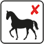 Horses not allowed